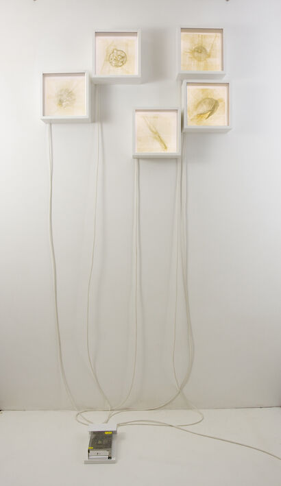 Natura morta. De-Composizione - a Sculpture & Installation Artowrk by stefano zaratin